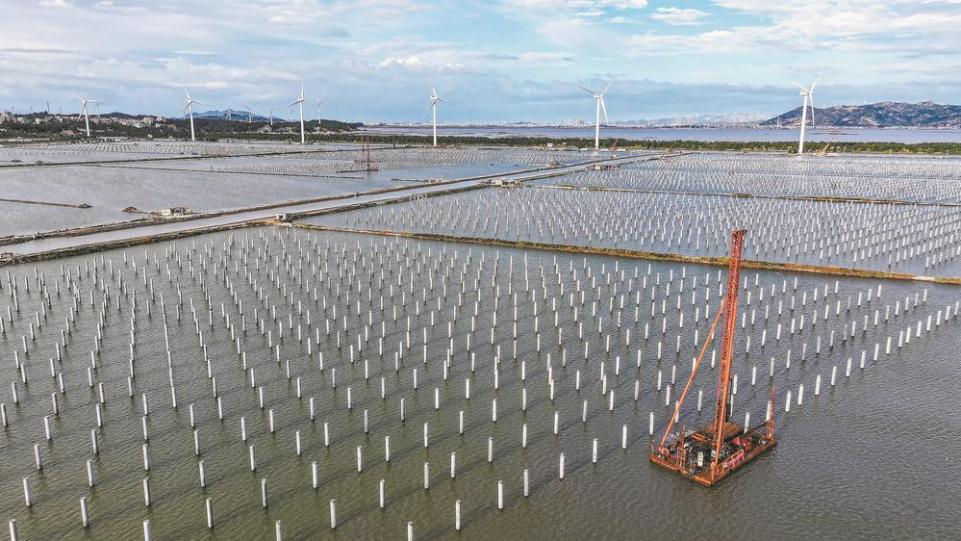 莆田湄洲：千亩海域崛起“绿能矩阵”