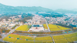 福建：山海城乡 同心共富