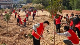 福州永泰“三绿”并举推进林业高质量发展