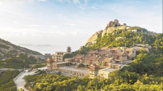 莆田秀屿：“点石成绿” 十年筑起生态屏障