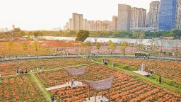 “我眼中的龙江岁月”影像征集采风活动在漳州举办