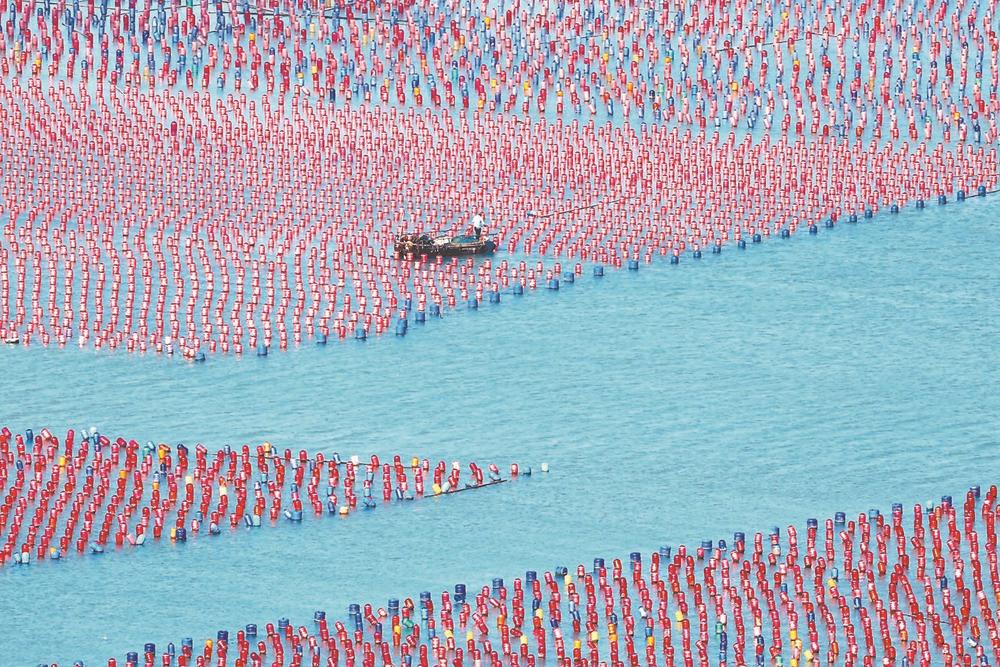 宁德霞浦持续推动海洋渔业升级