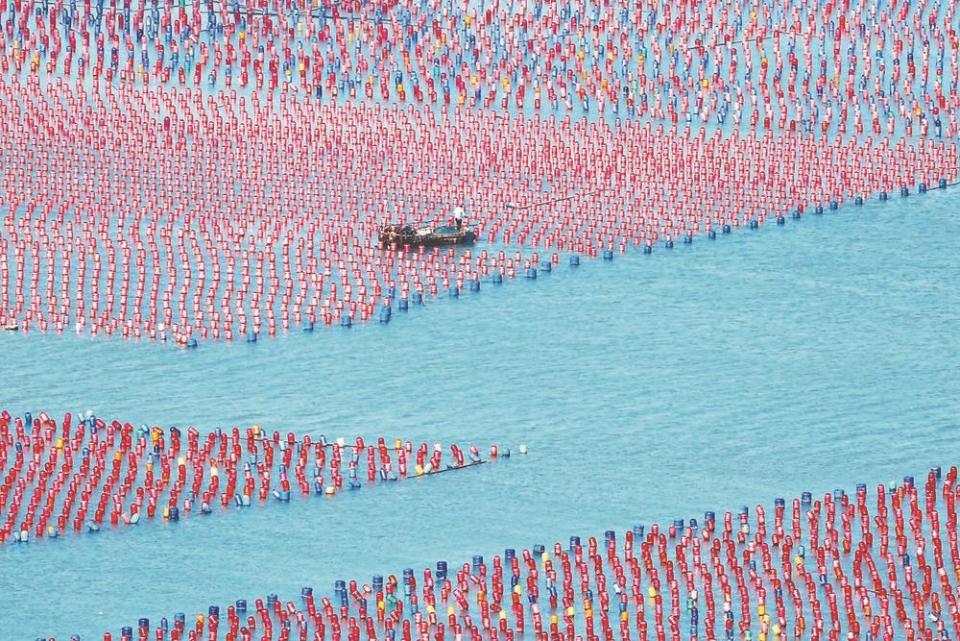 宁德霞浦持续推动海洋渔业升级