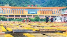 泉州四地与福厦串起“直达生活圈”