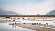 福建福安：耕海丰收