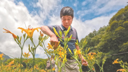 三明洋山畲族村：融合“农文旅”变出“新花样”