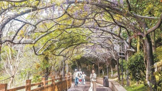 泉州：春日经济升温 赏花游受青睐