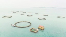 漳州：多样化海水养殖模式锻造百亿渔业