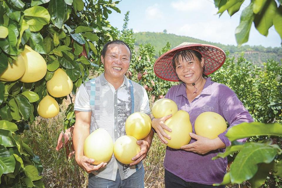 龙岩上杭：加快城乡融合 促进共同富裕