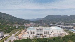 福州永泰：枝头鲜绿心头甜 青梅成为“致富果”