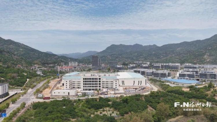 福州永泰：枝头鲜绿心头甜 青梅成为“致富果”