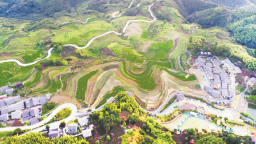 南平政和：念山云上梯田景区展现独特魅力