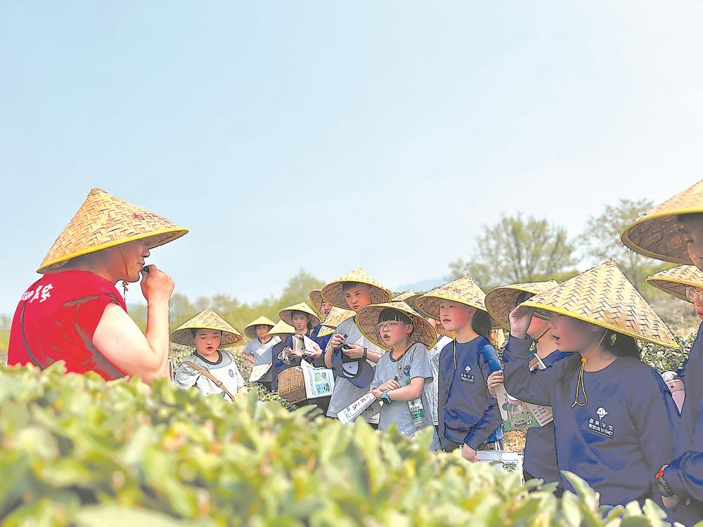 合福高铁：串起“黄金旅游带”和生态致富圈