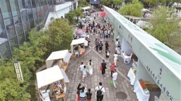 宁德福鼎：深化茶旅融合 传播“双世遗”白茶文化