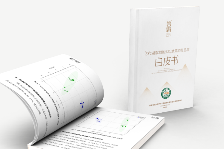 福建‌武夷山兴田生态茶产业“以质突围”的科技密码_fororder_图片6