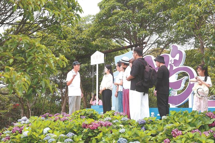 漳州市华安县：小山村吃上“生态文旅饭”