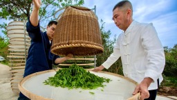 茶脉宁德丨天山茶与宁德历史文化名城的千年共生