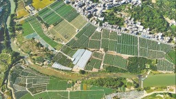 漳州平和安厚：串起“片区链” 激活“共富密码”