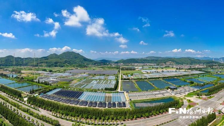 增速居全省首位 福州农业农村“半年报”出炉