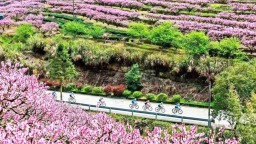 宁德福安穆云：万亩桃花带火“甜蜜经济”