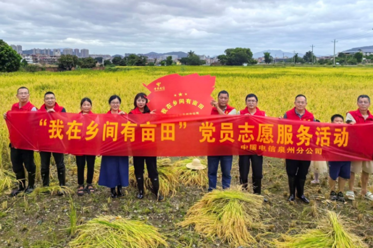 党员先锋与台风赛跑：中国电信泉州分公司抢收“责任田”保耕护粮纪实_fororder_图片3