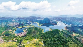 福建云霄：破立之间 再造“森林银行”