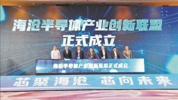 厦门海沧：产业人才同频赋能城区高质量发展