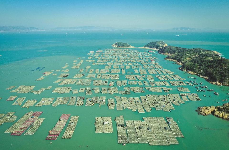 福州:奋进在春天里_fororder_7e90157b-0eb2-419b-8055-9a79d0902156