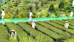 泉州首场“茶+时尚”跨界大秀在安溪举行