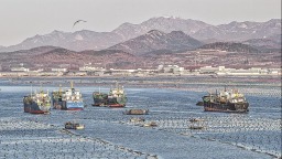 山东荣成市和福建省多地开展鲍鱼南北转场