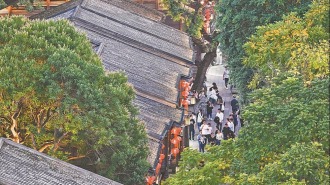 福州守护坊巷间的城市文脉