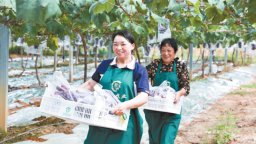 宁德深耕“8+1”特色产业助力乡村振兴