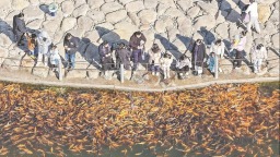 宁德福安穆阳溪：人鱼同乐 水清岸美