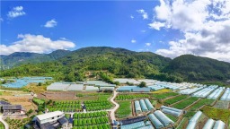 福州：“一分田” 何以广开食源