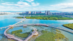 生态与经济同频共振 厦门蓝色版图加速焕新