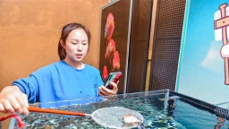 现代物流推动福州金鱼业蓬勃发展