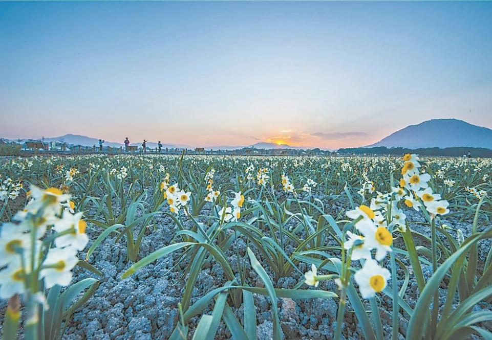 漳州：游田园都市 品文化名城