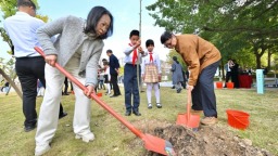 左公柳跨越千里扎根榕城 福州哈密共同传承家国情怀