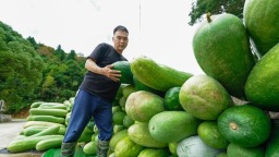 福州闽清桔林乡的乡村振兴“三件套”