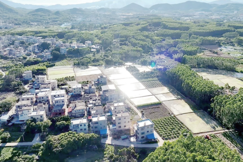 漳州云霄：“园改耕”激活沉睡土地_fororder_微信截图_20250708092702