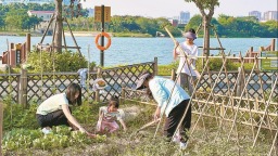 漳州兴起共享菜园业态