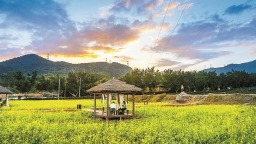 厦门海沧：诗意乡野