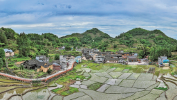 宁德寿宁李家洋村：畲乡秘境中的诗画田园