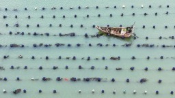 福州连江拉开初夏“耕海”序幕