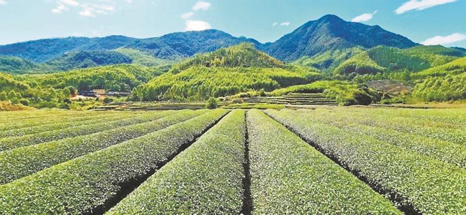 莆田仙游：一湾碧水润民生