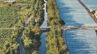 泉州台商区：一溪润沃野  “四美”兴田园