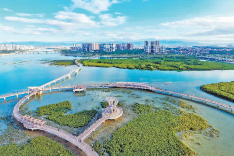 生态与经济同频共振 厦门蓝色版图加速焕新_fororder_wechat_2025-10-10_093108_199_副本