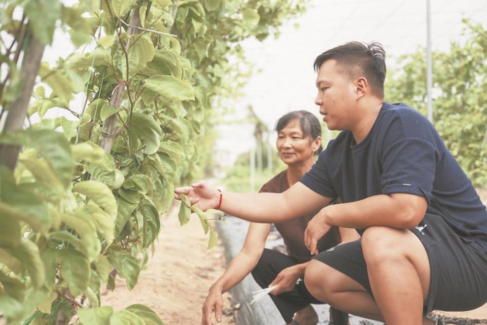 福建：乡建乡创 一场田园追梦