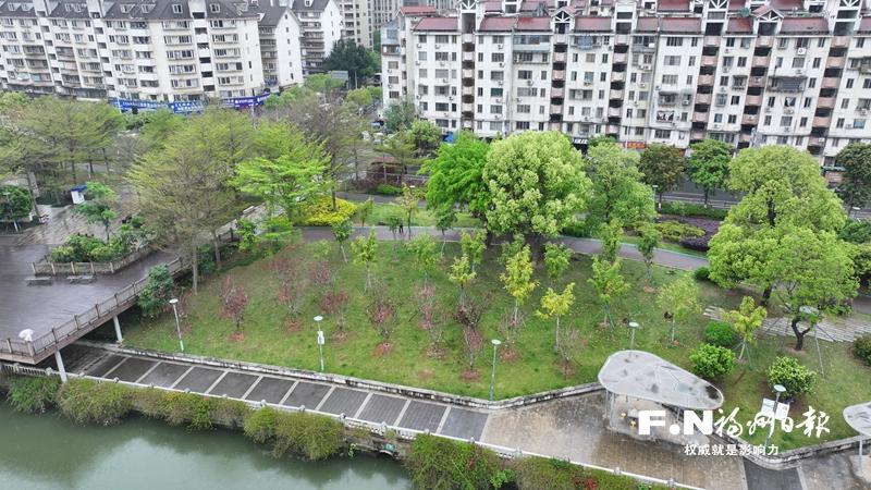 新增百棵开花树木 福州持续推进内河沿岸颜值提升