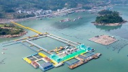 宁德霞浦：逐浪深蓝 向海而兴